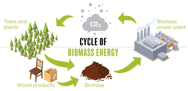 bioenergy